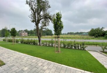 Ausblick Schlafzimmer